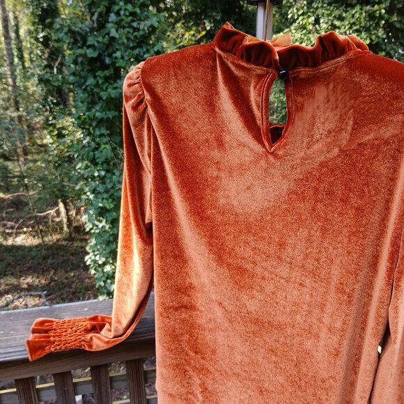 Romantic Rust Velvet Long Sleeved Shirred Wrists & Ruffled Cuss & Neck Top Sz M - Picture 5 of 9